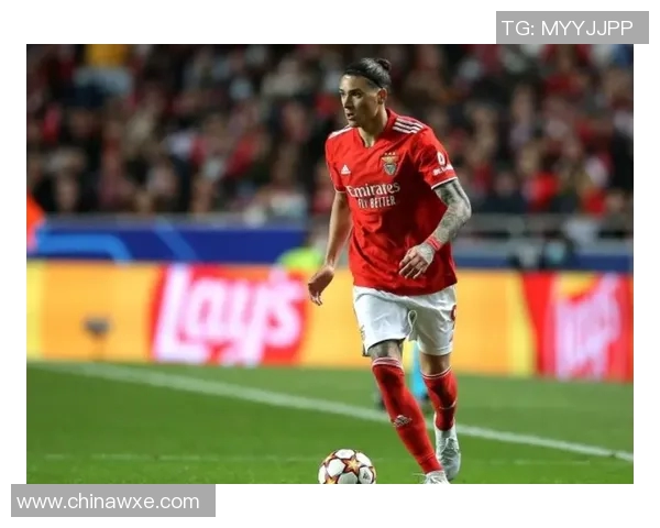 努涅斯在赛场上的崛起与挑战：从新星到球队核心的成长之路